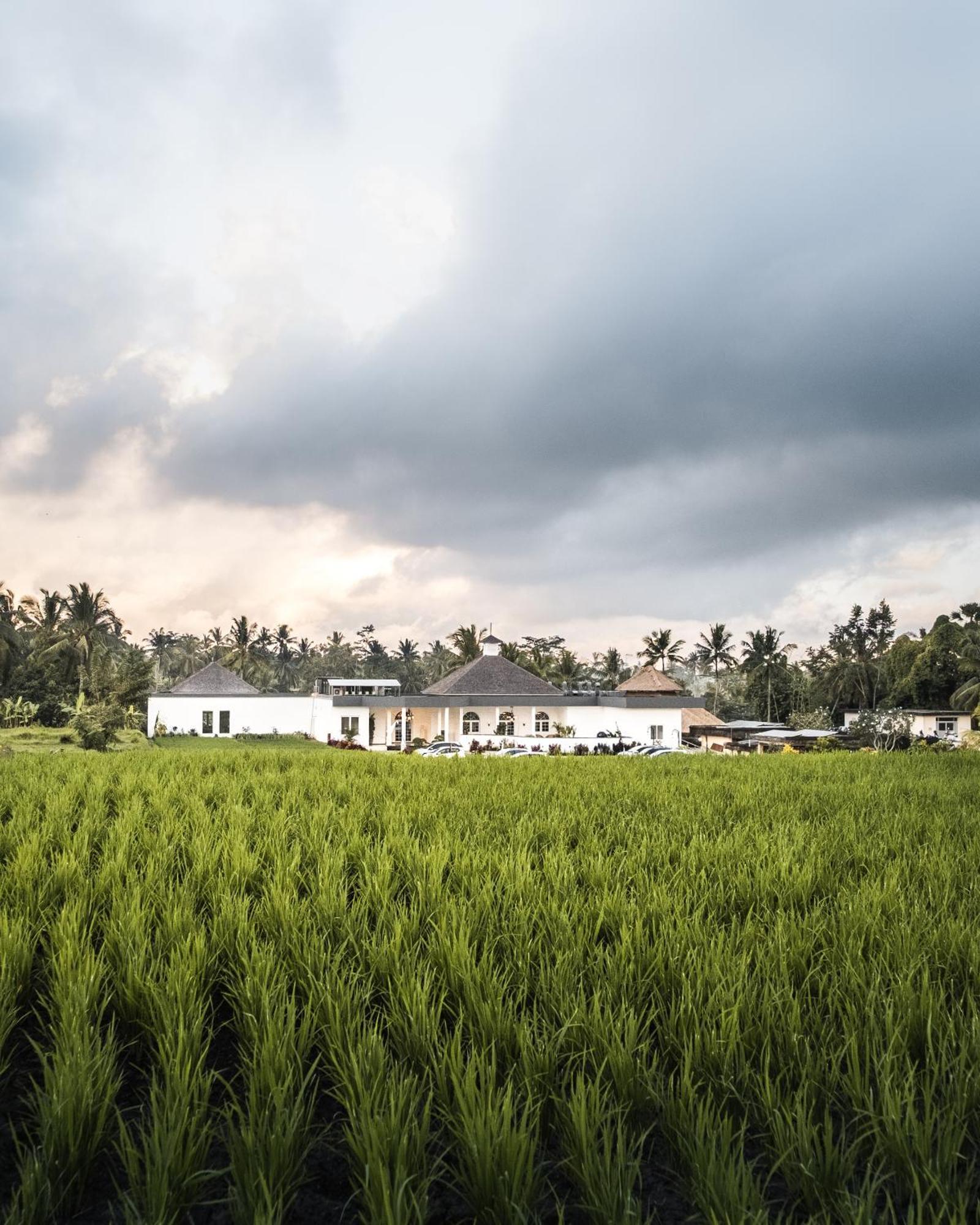 Cascades Suites Ubud Buitenkant foto